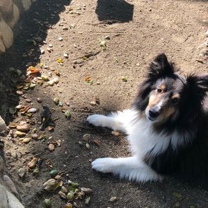 Meet your Posher, Taryn